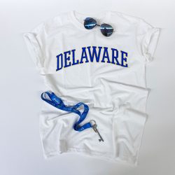 University of Delaware Arched Delaware T-shirt - white