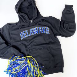 University of Delaware Under Armour Delaware Blue Hens Hoodie - Black