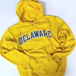 University of Delaware Champion Arched Delaware Hoodie Sweatshirt – – National 5 and 10