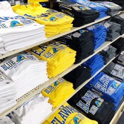 University of Delaware Basketball T-shirt – Royal – National 5 and 10