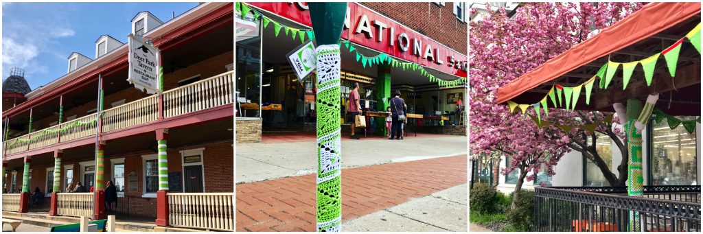 Lyme Awareness Yarnbombs Newark Delaware