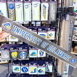 University of Delaware Insulated Koozie Travel Tumbler – National 5 and 10