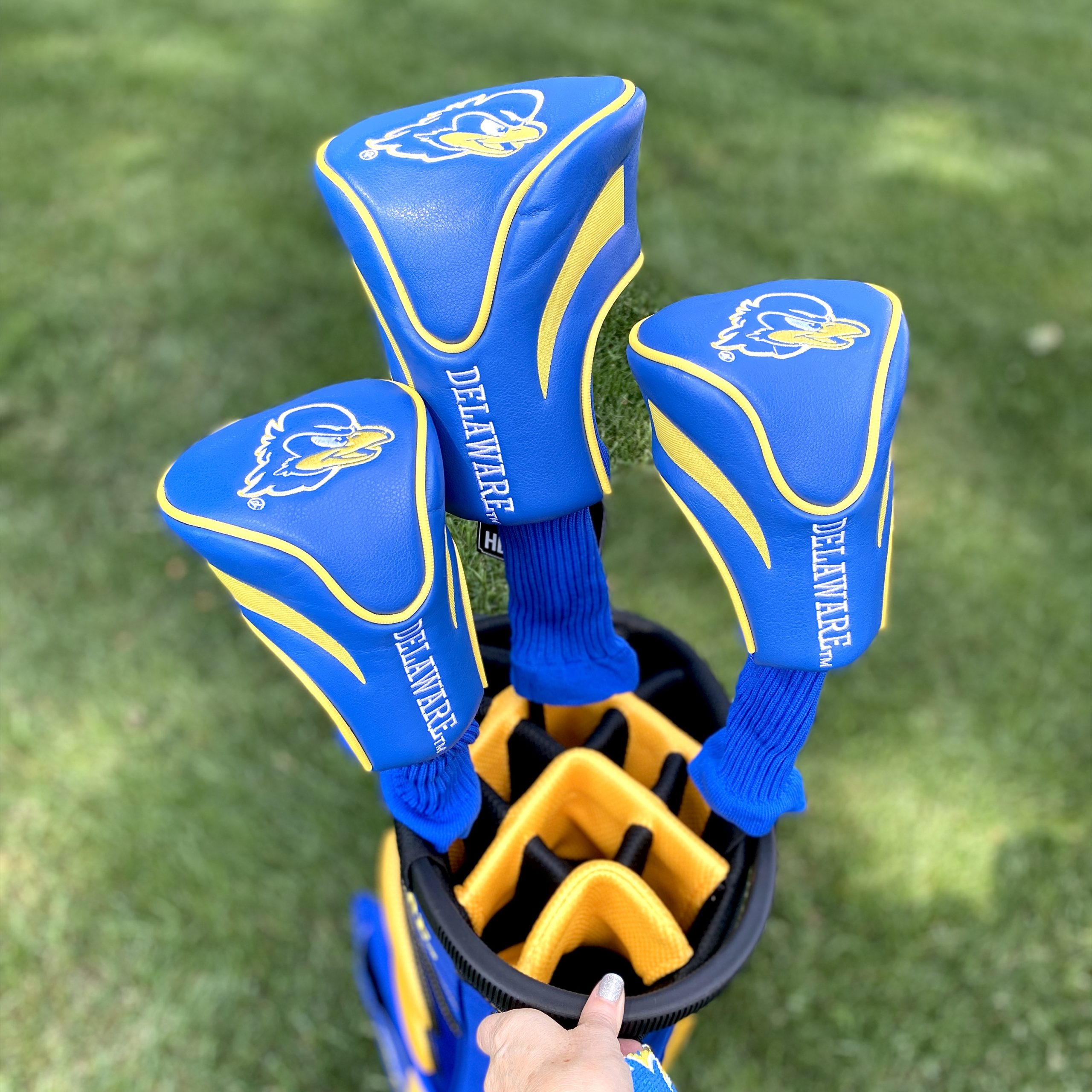 University of Delaware Golf Bag (8)