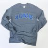 University of Delaware Long Sleeve Arched Delaware T-shirt - Charcoal