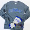 University of Delaware Long Sleeve Arched Delaware T-shirt -Charcoal