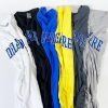 University of Delaware Long Sleeve Arched Delaware T-shirt