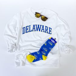 University of Delaware Long Sleeve Arched Delaware T-shirt - White