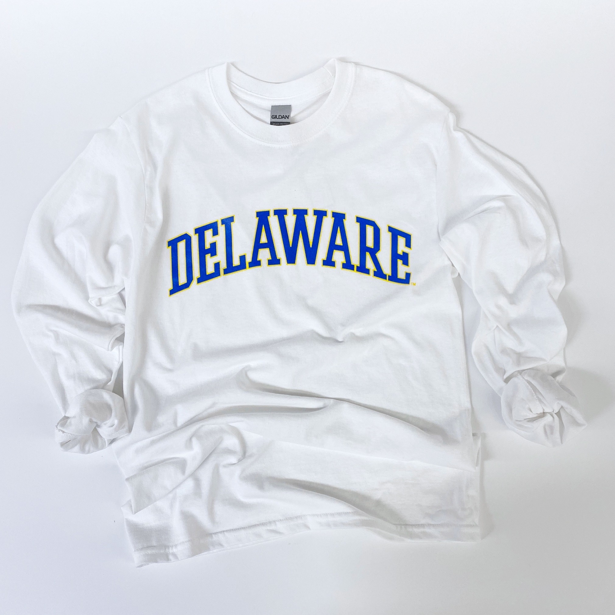 University of Delaware Long Sleeve Arched Delaware T-shirt – White ...
