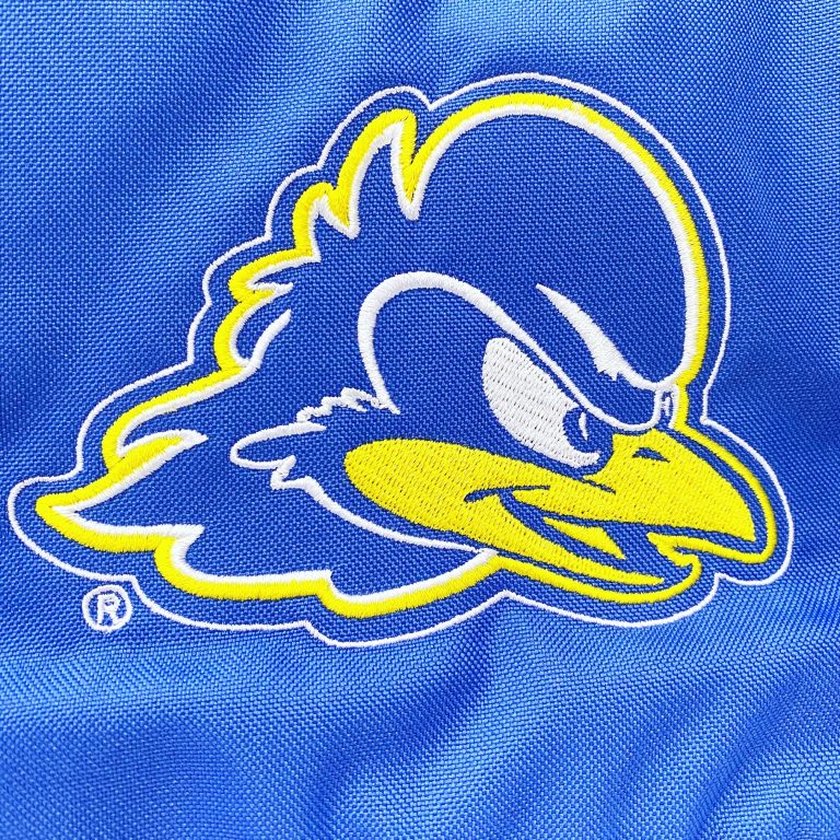 Detail of YoUDee mascot emboirdery