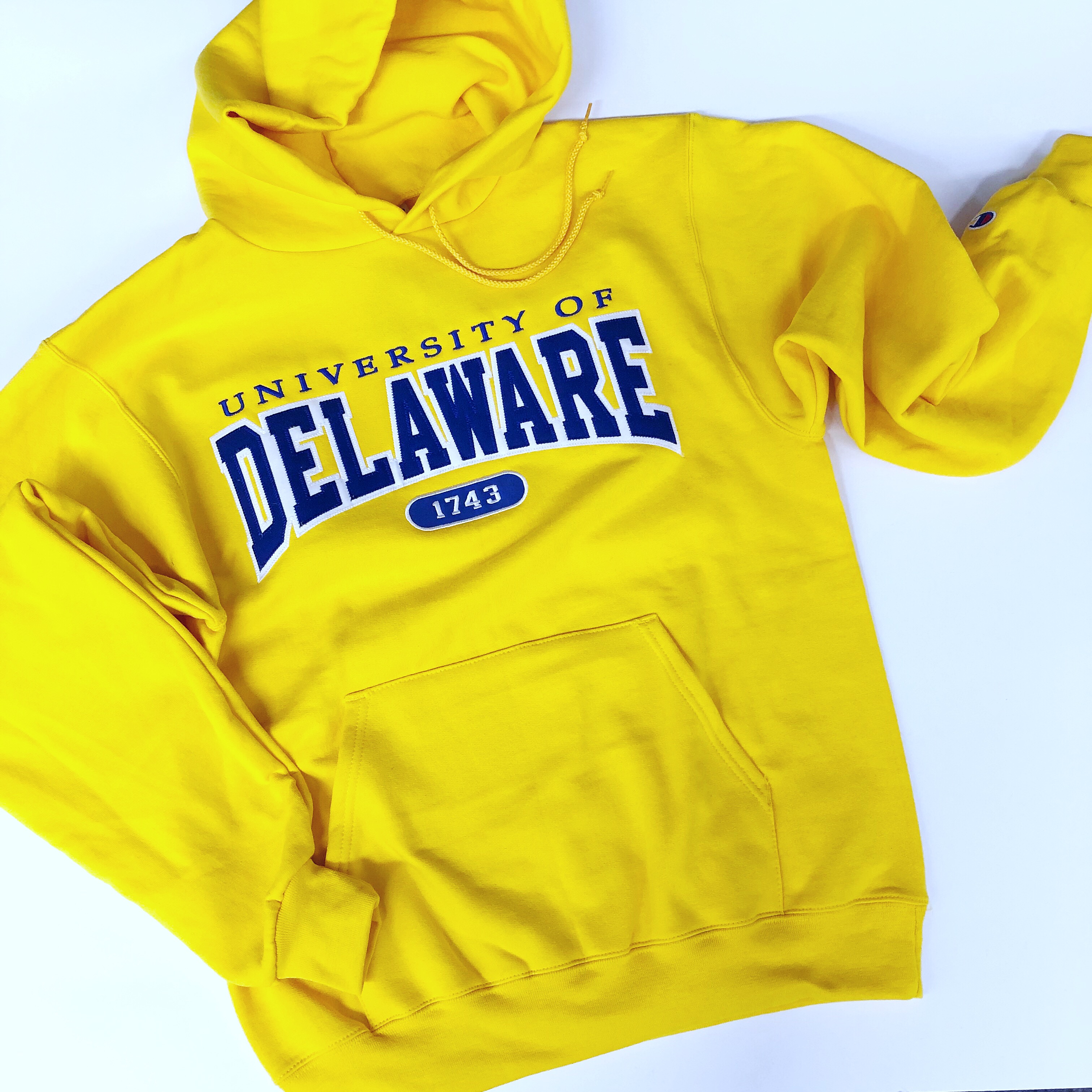 University of Delaware Champion 1743 Hoodie Sweatshirt – National 5 and 10