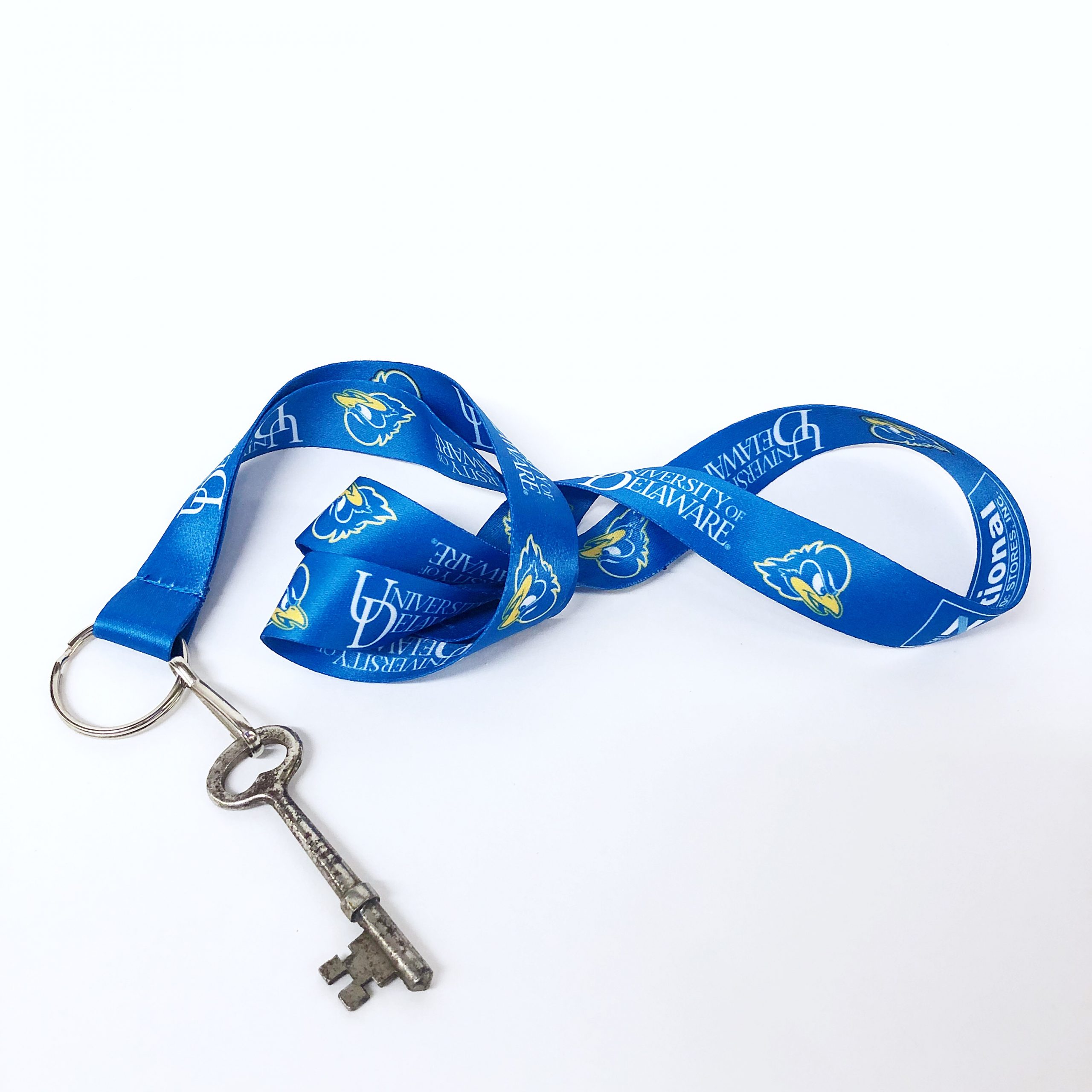 University of Delaware Carabiner Keychain