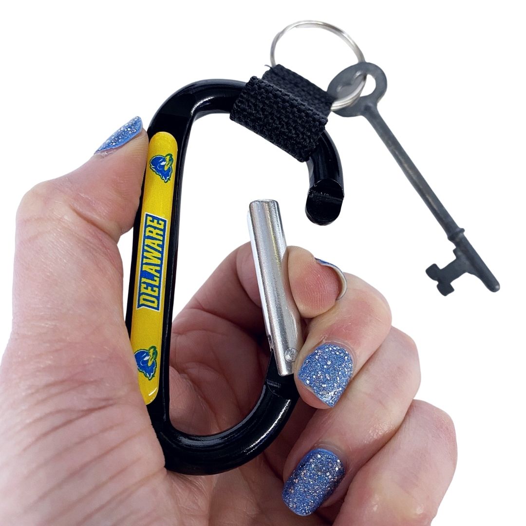 University of Delaware Carabiner Key Ring with Strap