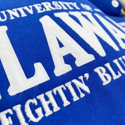 Detail of University of Delaware MV Tackle Twill Sweatshirt