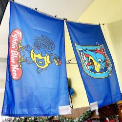 https://www.national5and10.com/wp-content/uploads/2019/02/University-of-Delaware-Vintage-3-x-5-Flags-250x250.jpg