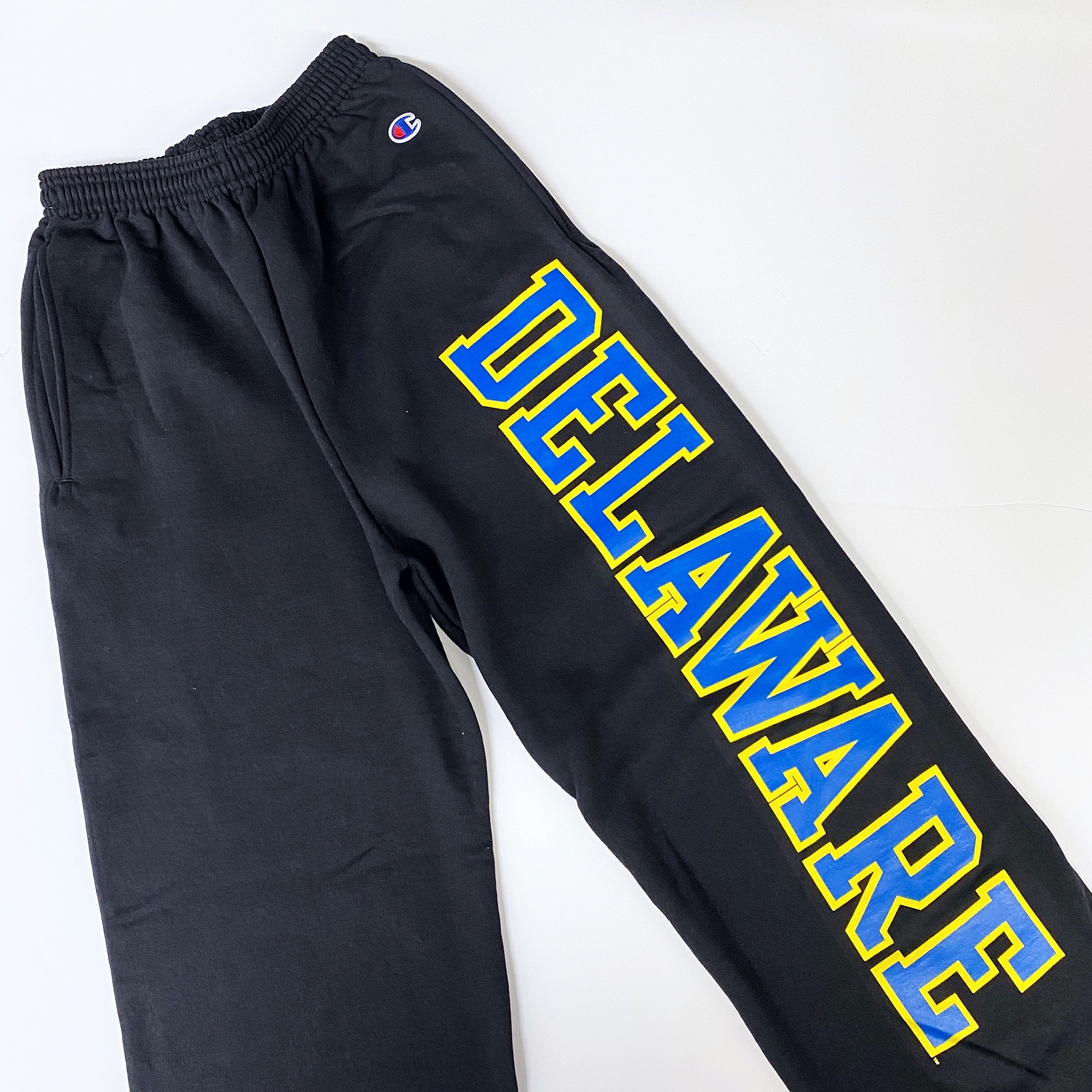 DELAWARE STATE JOGGING PANT HORNET LOGO – Vintage the Collection