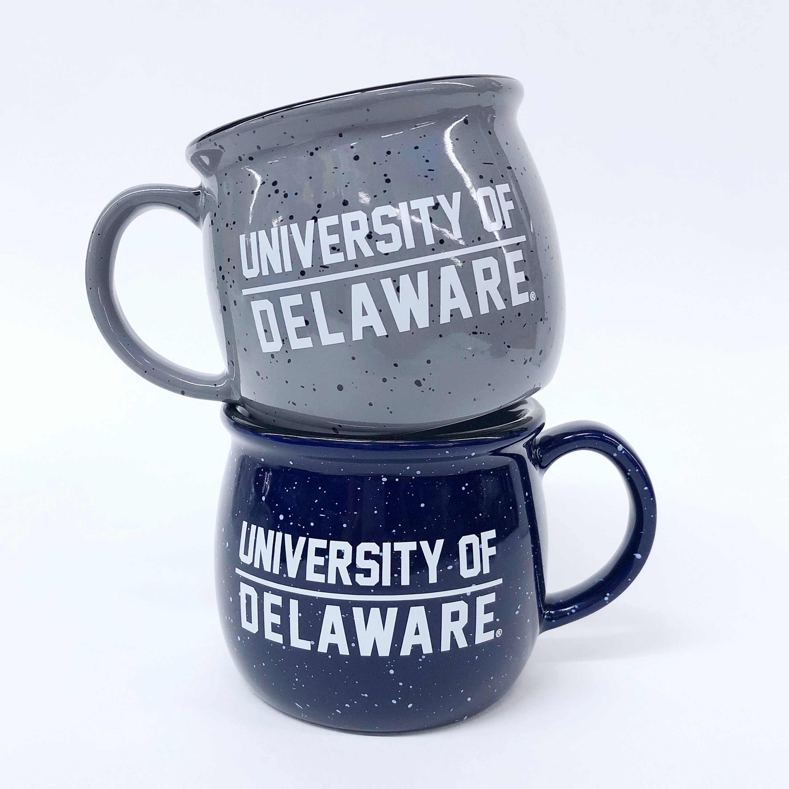 University of Delaware Future Blue Hen Nalgene Sippy Cup