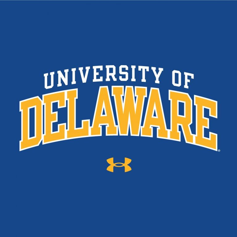 University of Delaware Under Armour Graphic