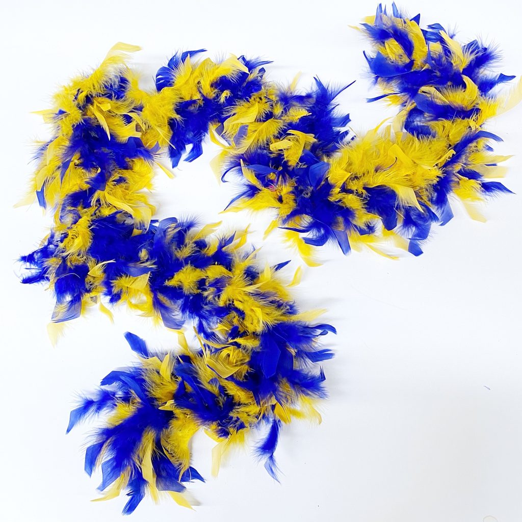 University of Delaware Blue and Yellow Feather Boa – National 5 and 10