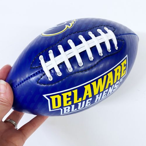 University of Delaware Mini Football