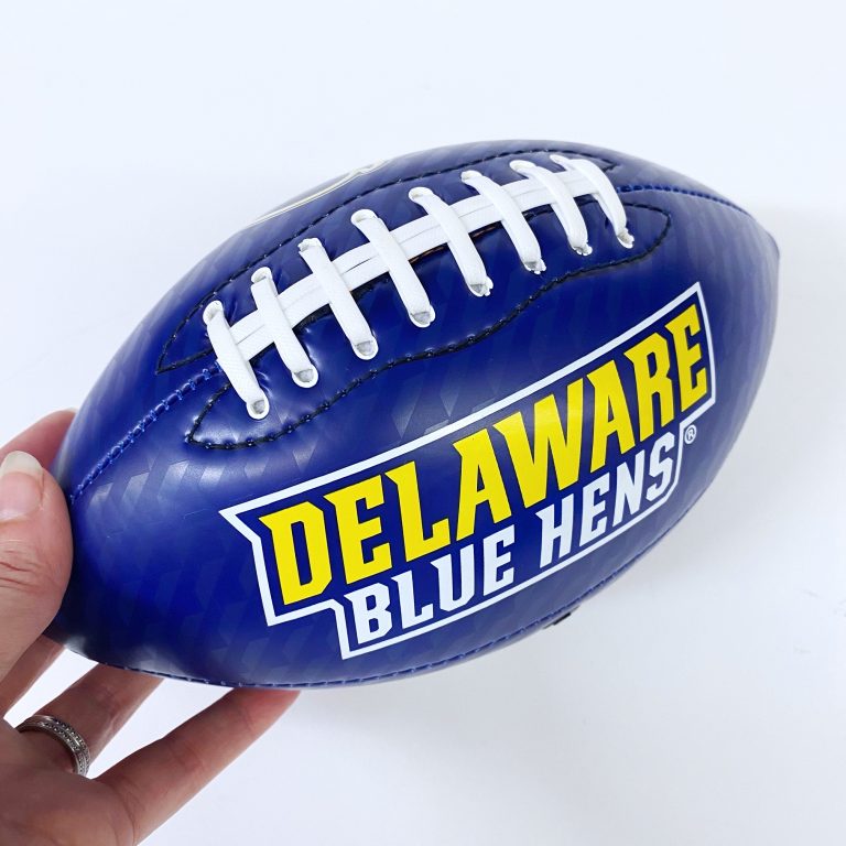 University of Delaware Mini Football