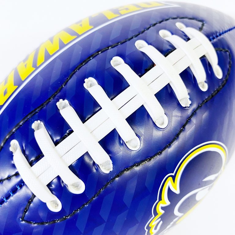 Detail of University of Delaware Mini Football