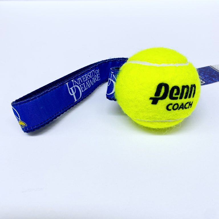 University of Delaware Tennis Ball Dog Toy