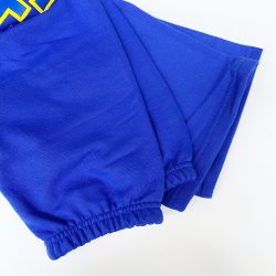University of Delaware Champion Big Delaware Sweatpants Royal