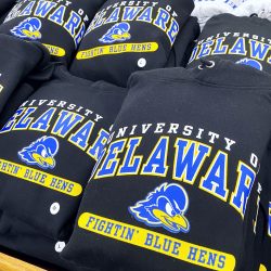 University of Delaware Under Armour Delaware Blue Hens Hoodie - Black