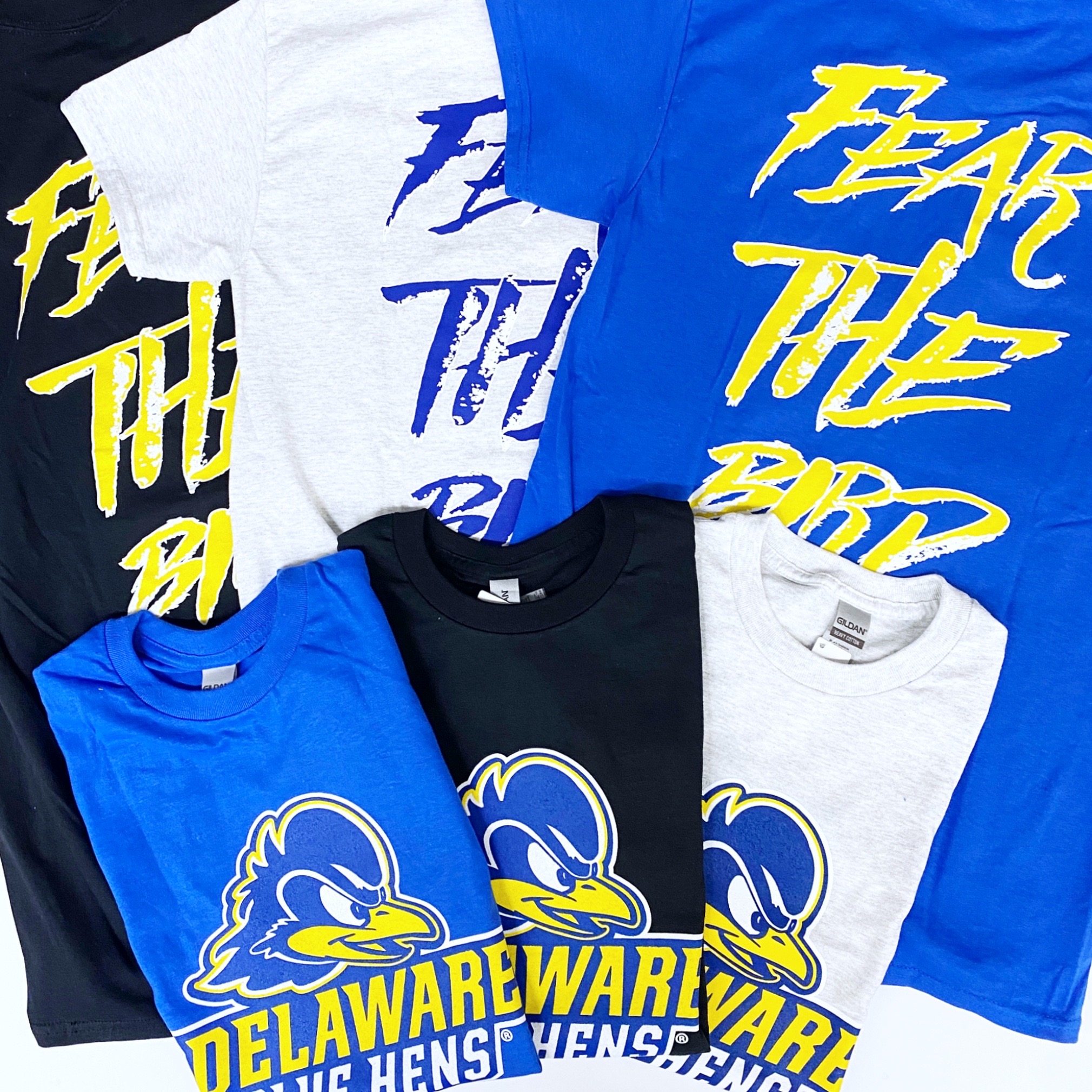 University of Delaware Fear The Bird T-shirt – National 5 and 10