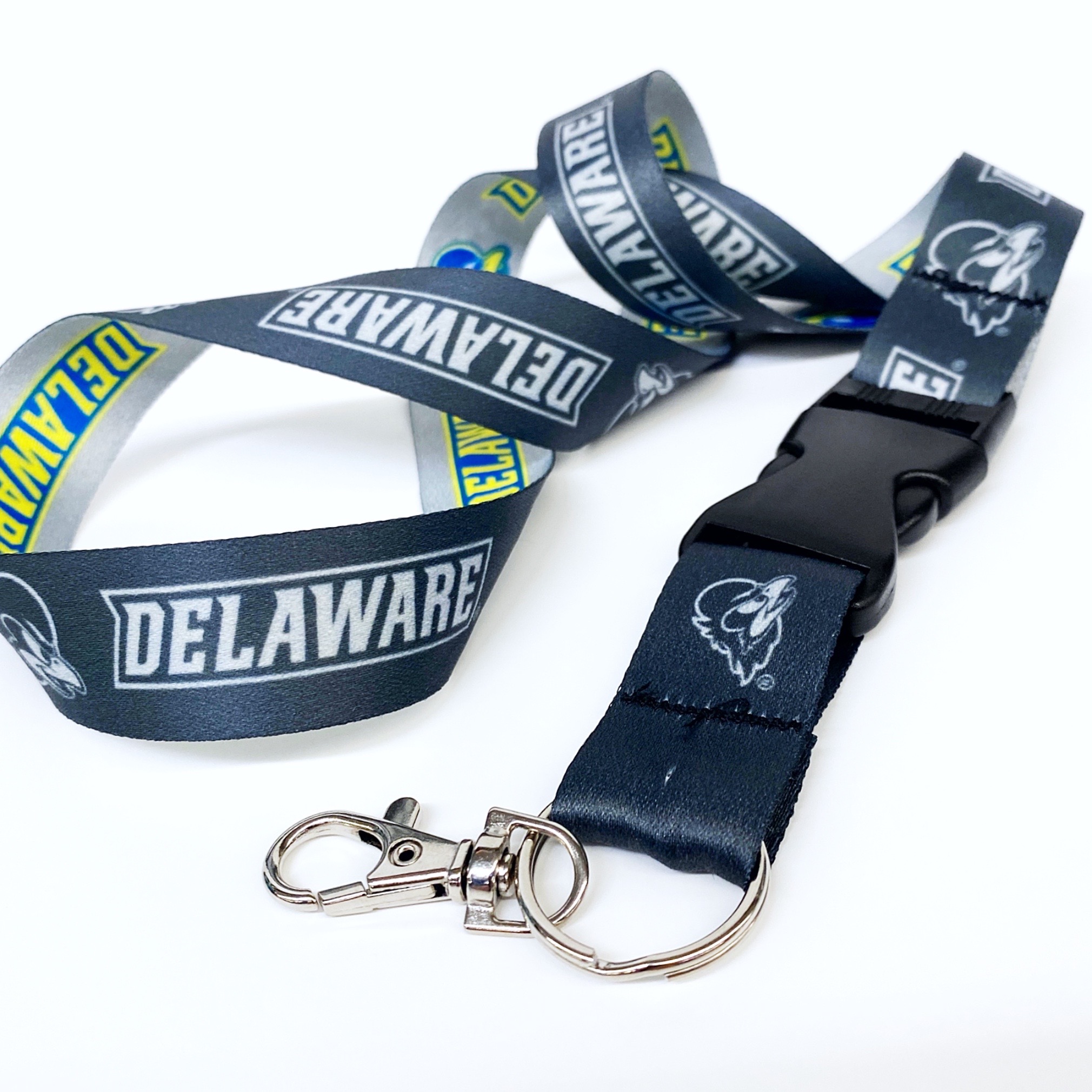 University of Delaware Carabiner Keychain