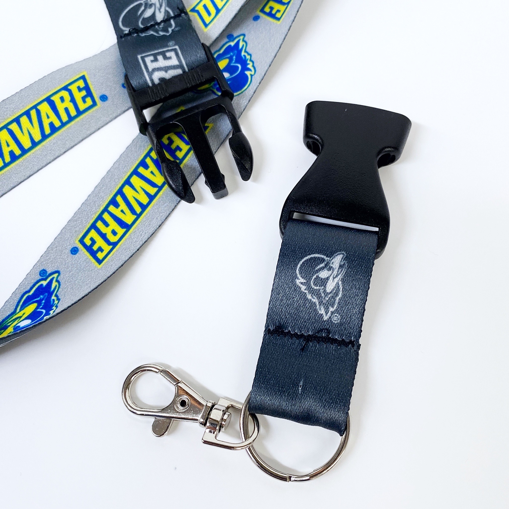 University of Delaware Carabiner Key Ring with Strap – National 5