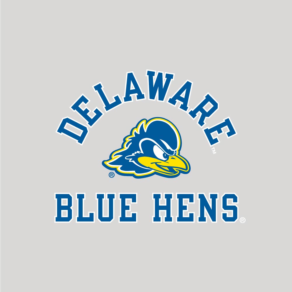 University of Delaware Under Armour Delaware Blue Hens Hoodie - Black