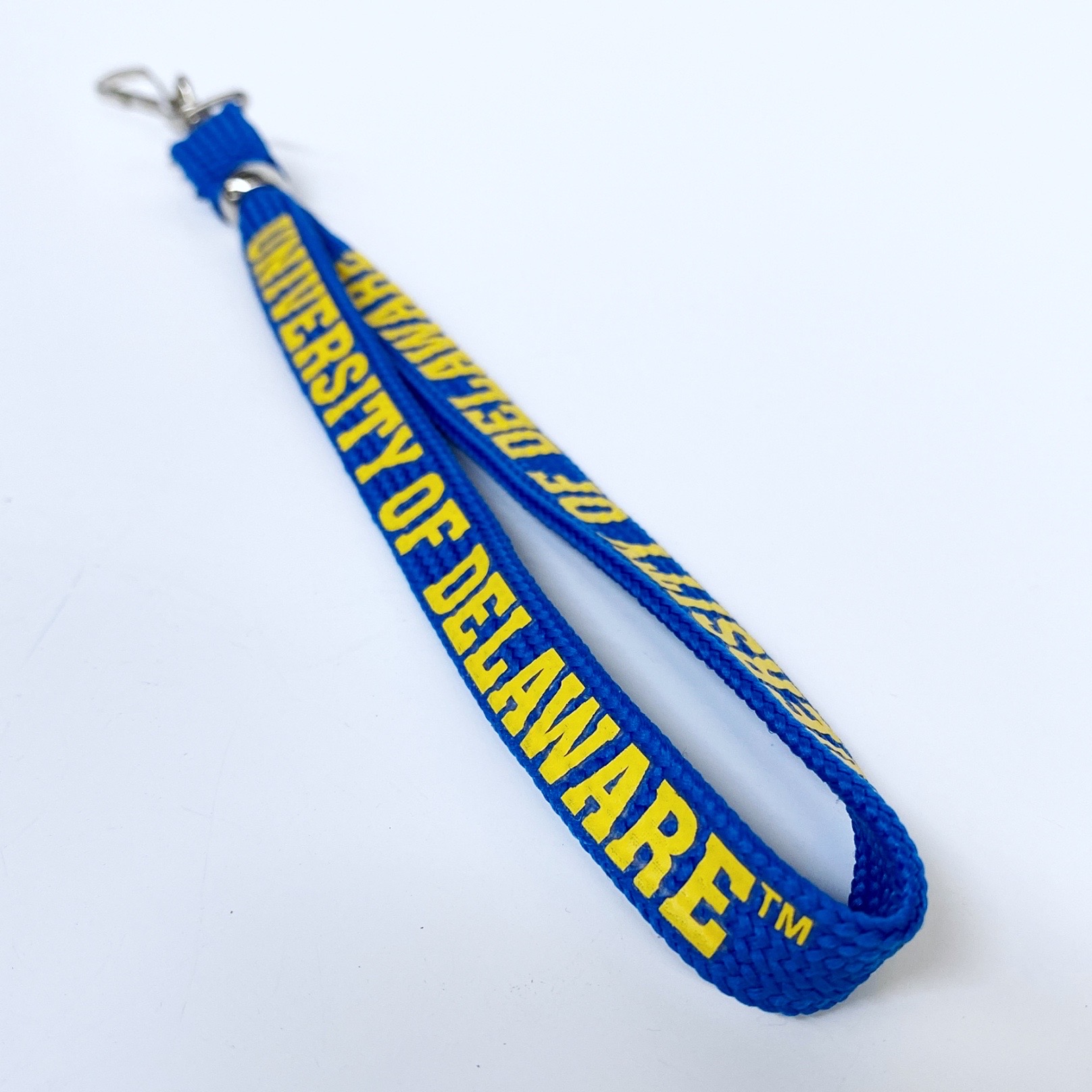 University of Delaware Carabiner Key Ring with Strap – National 5