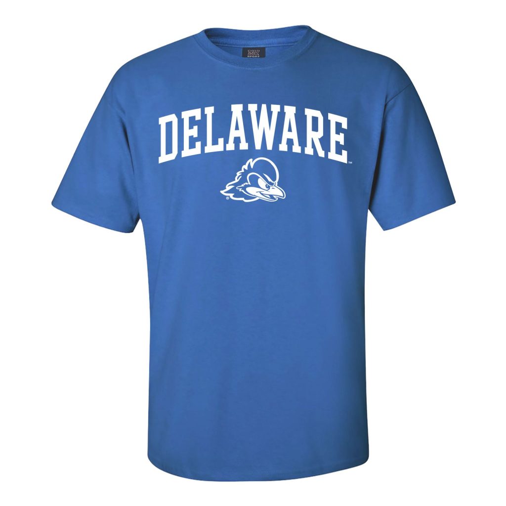 University of Delaware Dad T-shirt – Oxford – National 5 and 10