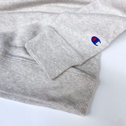 University of Delaware Champion Triumph Crew Neck Sweatshirt