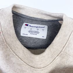 University of Delaware Champion Triumph Crew Neck Sweatshirt